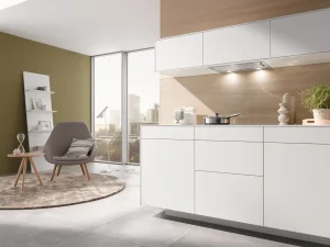 Miele Cappe Aspiranti | DA 2450 Acciaio inox