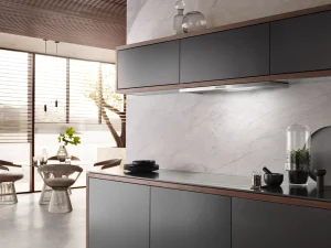 Miele Cappe Aspiranti | DAS 2920 Acciaio inox
