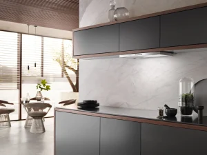 Miele Cappe Aspiranti | DAS 2620 Acciaio inox