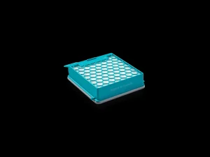Miele Sacchetti E Filtri | Filtro Hygiene AirClean