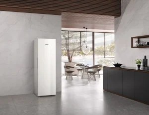 Miele Congelatori Da Posizionamento Libero | FN 4372 D-1 Bianco