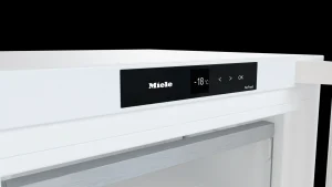 Miele Congelatori Da Posizionamento Libero | FN 4342 E Bianco