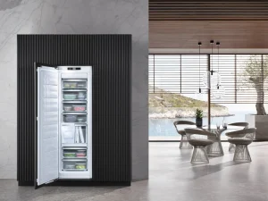 Miele Congelatori Da Incasso | FNS 7774 D